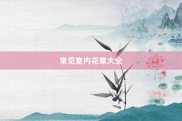 常见室内花草大全