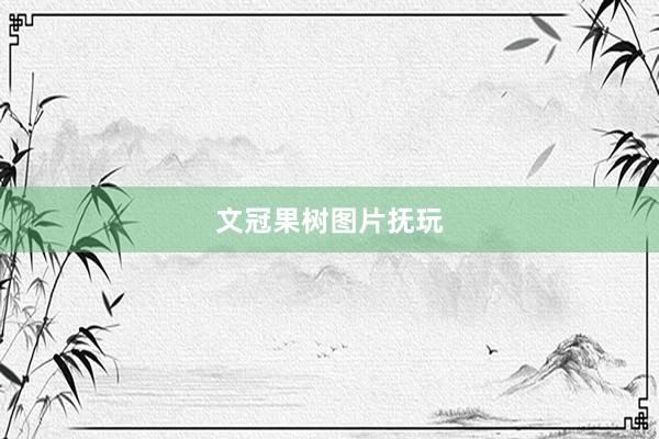 文冠果树图片抚玩